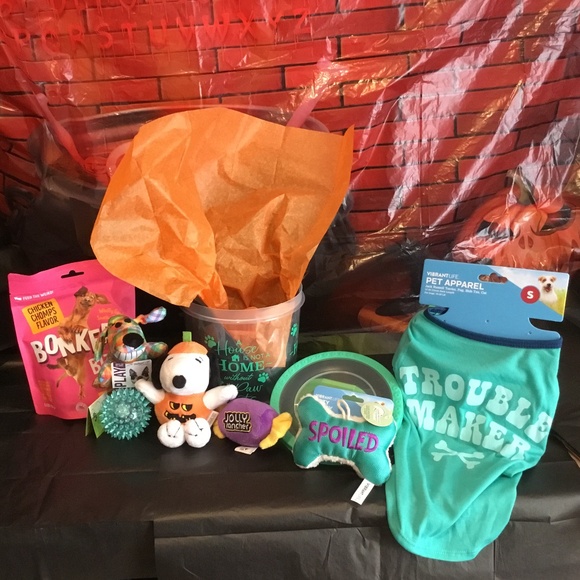 Halloween Boo Bucket for a small Dog - Picture 1 of 7